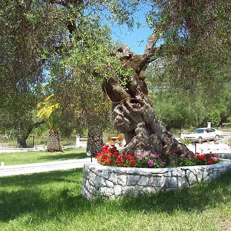 公寓 Leonidas 萨米